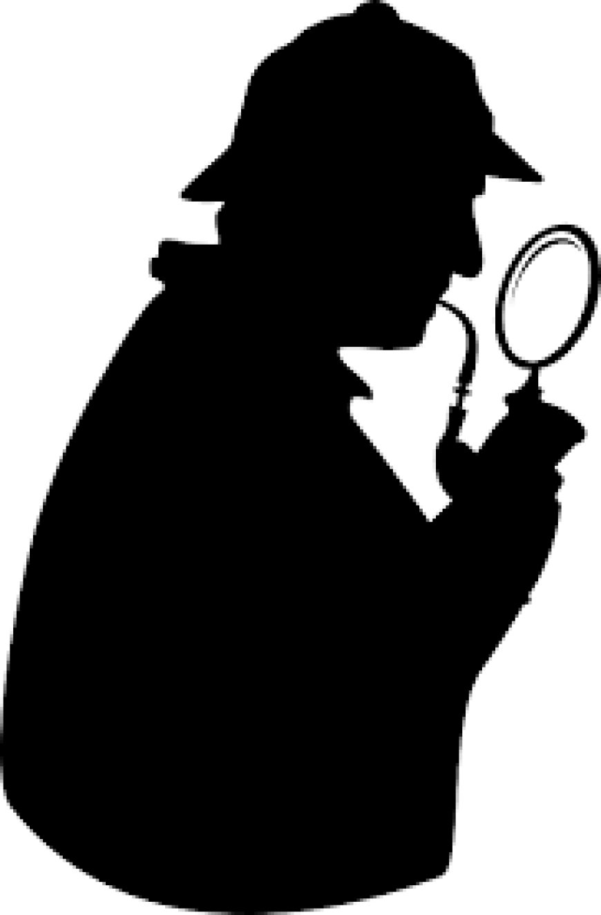 Best Detective Agency in Patna : Codelancer Cyber Security and Forensic