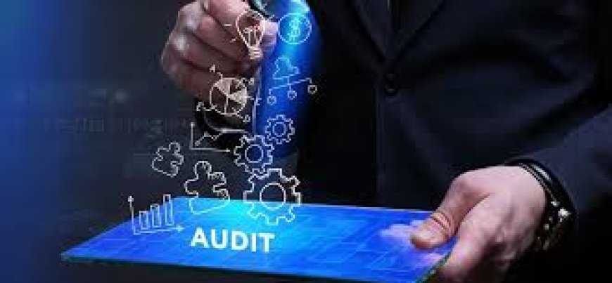 Network Audits Services In Parel