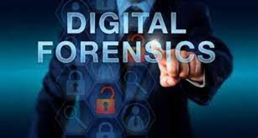 Forensic Services in Airoli Navi Mumbai: Unraveling the Digital Puzzle With Codelancer